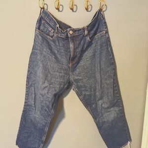 Everlane High Rise Raw Hem Crop Jeans